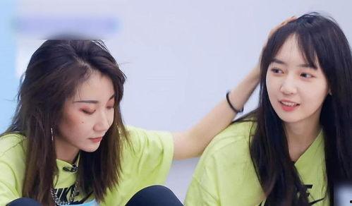 文佳英爆料最新版,揭秘娱乐圈风云变幻