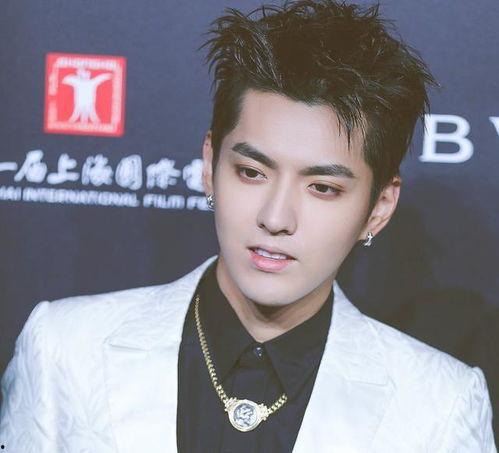 爆料娱乐圈吴亦凡,真相与争议交织的明星之路  第3张